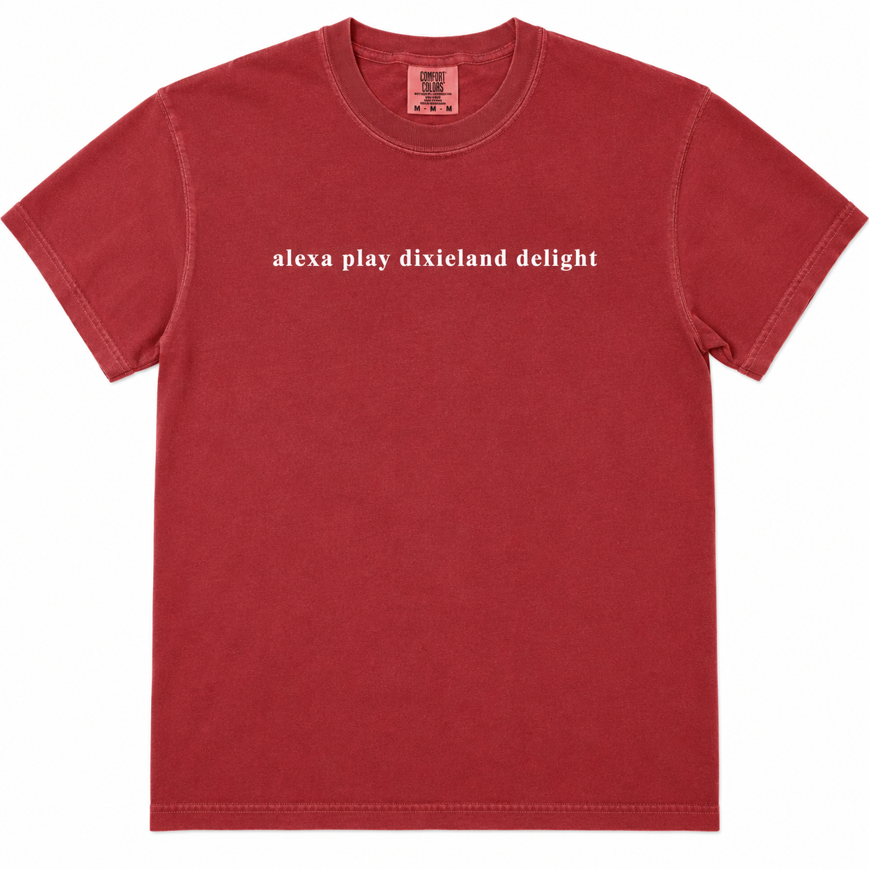 Alexa Play Dixieland Delight Game Day Tee