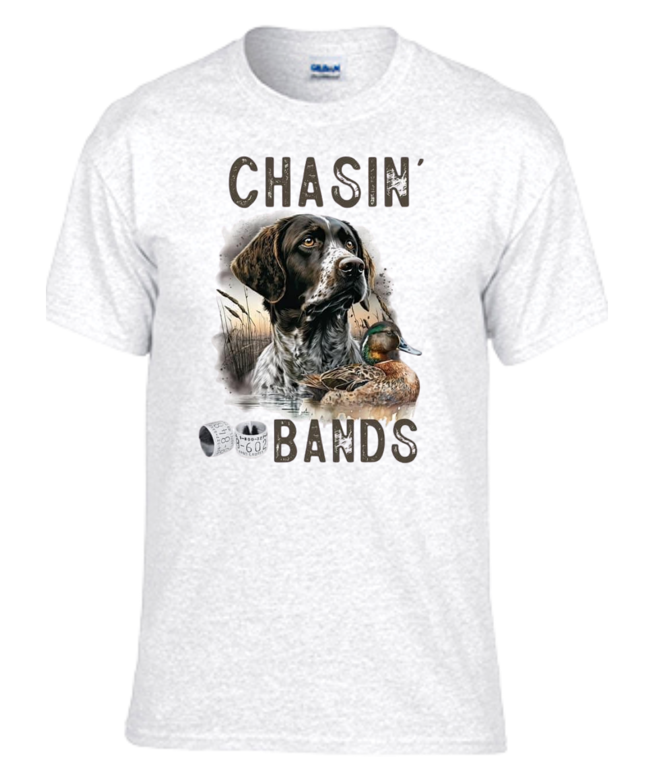 Chasin' Bands
