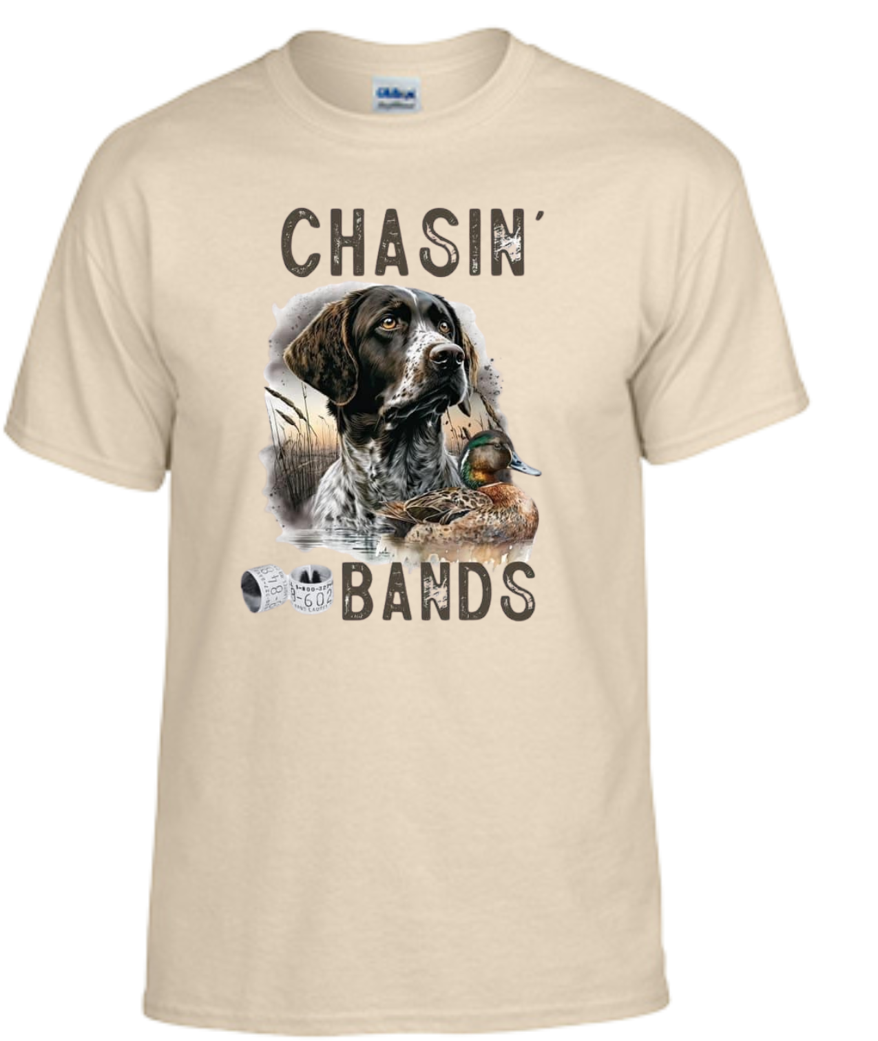 Chasin' Bands