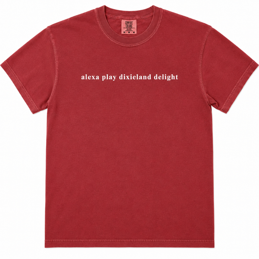 Alexa Play Dixieland Delight Game Day Tee