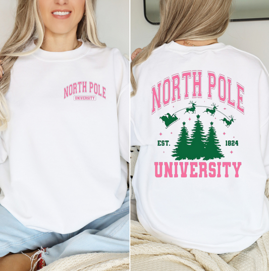 North Pole University