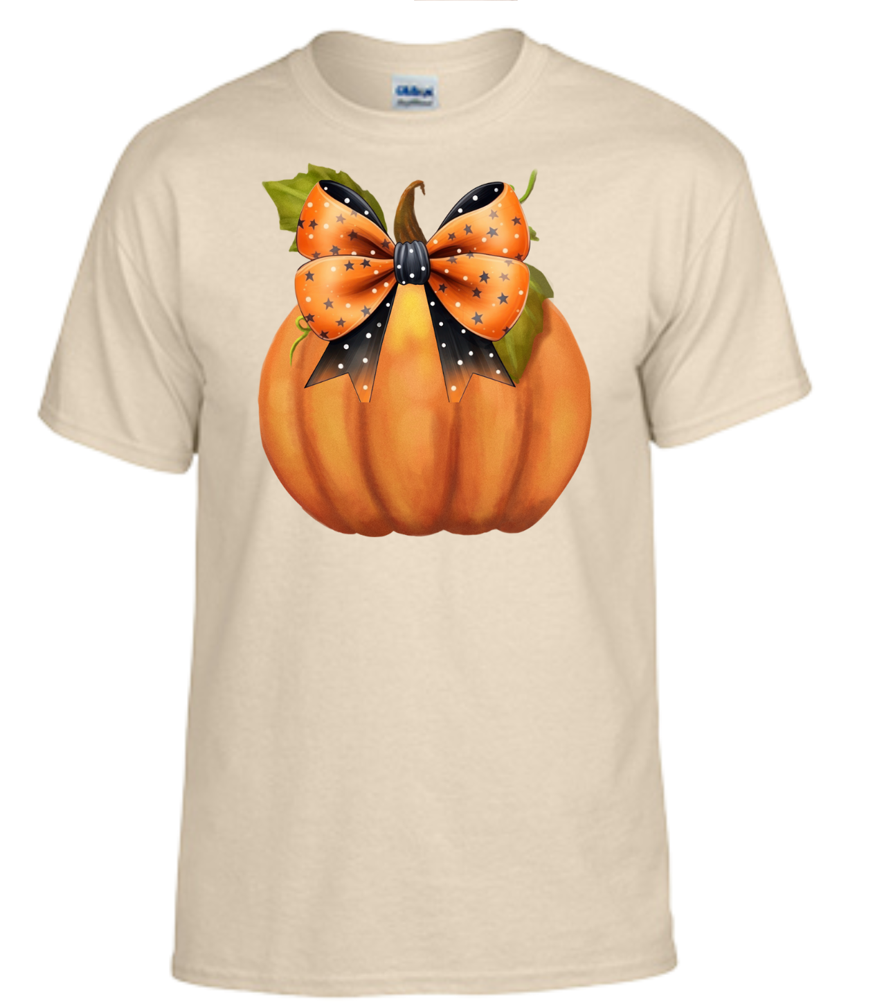 Pumpkin With Orange and Black Bow