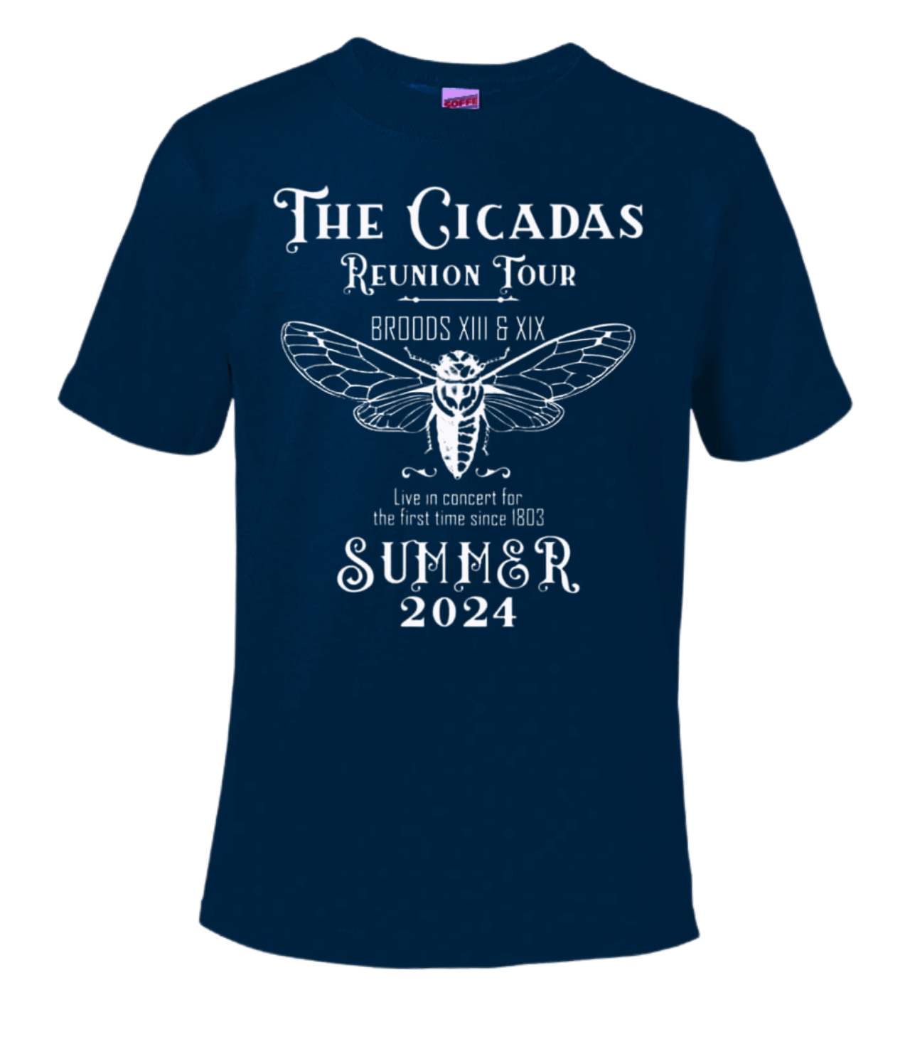 The Cicadas Reunion Tour